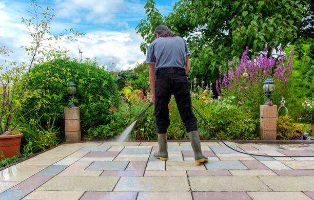 Best Restaurant Pressure Washing  in Mill Creek, WA
